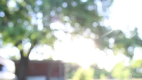 Exposure shot of the evening sun through the trees Video stock 79664026