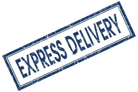 Express delivery blue square stamp isolated on white background Illustrazione stock