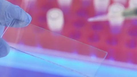 Express test and microbial composition infographics Vídeos de archivo 130660373