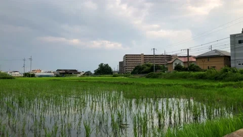 Express train passing rice fields in countryside Japan. Stock Footage 134428023
