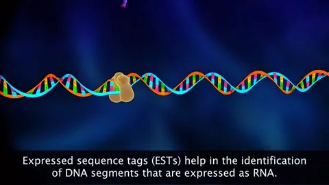 Expressed sequence tags and sequence annotaion in human genome project 動画素材 319950163