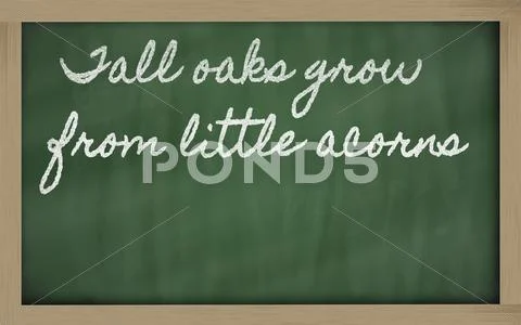 Expression - tall oaks grow from little acorns - written on a school blackbo Stock Illustration