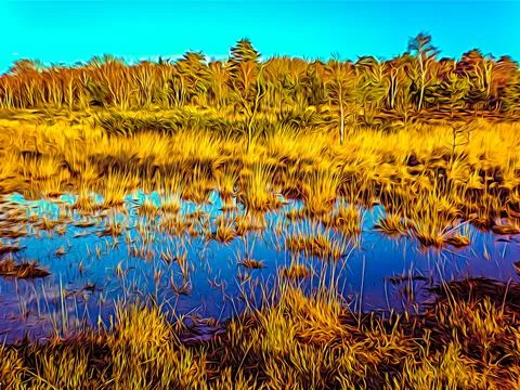 Expressionist Chobham Common marsh and water Stock Illustration