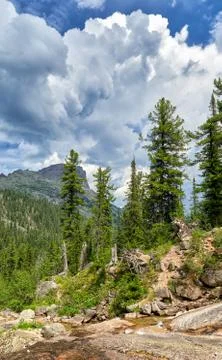 Expressive clouds over mountain forest Stock Photos