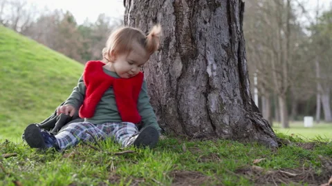 Expressive Toddler Sitting by Tree Trunk in Park Serbia Stock Footage 331127538