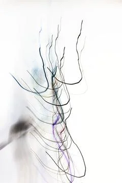 Expressive Vertical Lines on a Minimalist White Background Stock Illustration