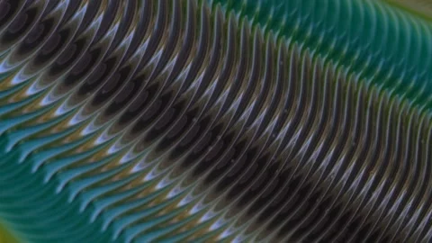 Exquisite abstract design in the style of fluid art, bright colors, marble video Stock-Footage 320018447