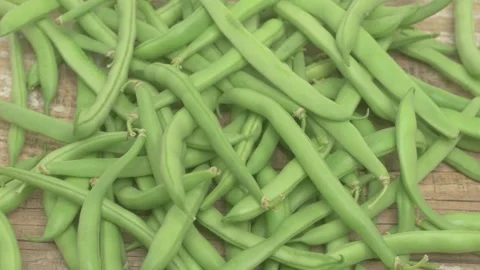 An Exquisite and Beautiful Array of Fresh, Crunchy Green Beans Spread Over a Stock Footage 283639063