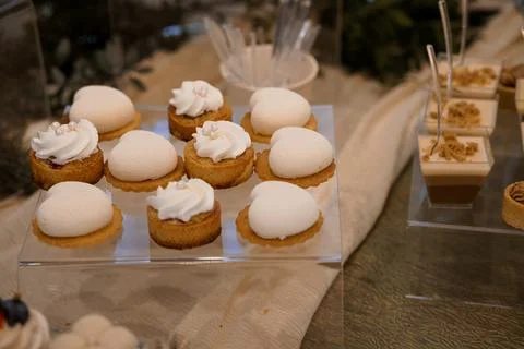 Exquisite Array of Miniature Desserts Displayed Elegantly at a Gourmet Pastry Stock Photos