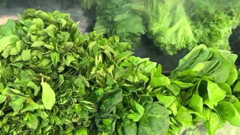 Exquisite assortment of dried herbs specifically designed for various culinary Stock Footage 316405157