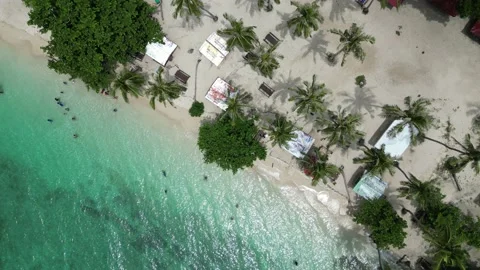Exquisite beach with trees, white sand, beach huts and serene clear water. Stock Footage 218280627