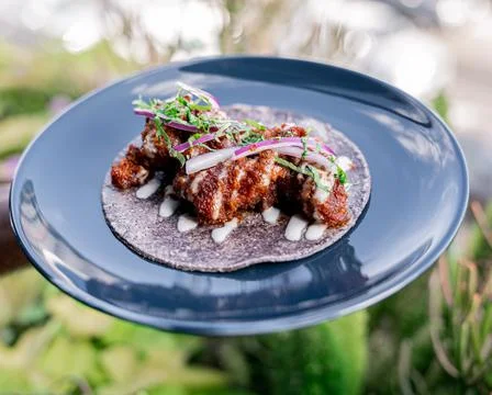 Exquisite crispy shrimp taco. Stock Photos