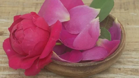 An Exquisite Display of Beautiful Rose Petals and a Stunning Blooming Flower Stock Footage 287320439