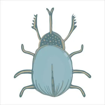Exquisite hand drawn beetle in boho style. Vector illustration. Stock Illustration