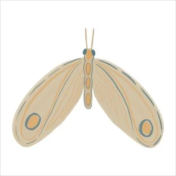 Exquisite hand drawn moth in boho style. Vector illustration. Stock Illustration