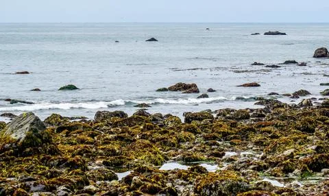 Exquisite Harbor Stock Photos