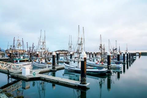 Exquisite Harbor Stock Photos