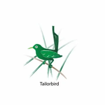 Exquisite morsels of lovingly painted bird art, paintings of birds on branches Stock Illustration