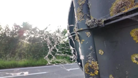 An Exquisite Spider Web Gracefully Adorning a Weathered Surface Stock Footage 310611325