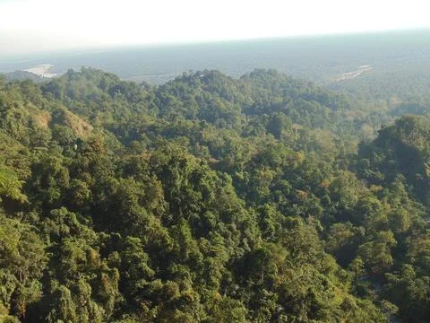 An exquisite view from above, capturing the lush expanse of a forest Stock Photos