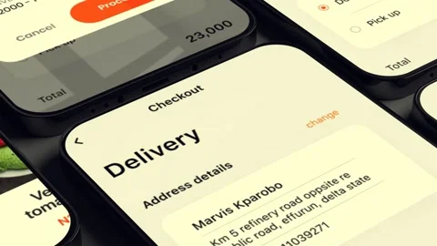 Exqulisive App Promo 스톡 After Effects