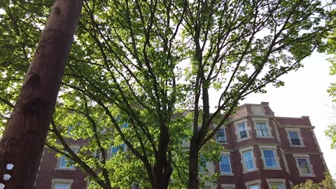 EXT - BRICK APT LENSFLARE Stock Footage 194836317