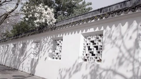 Ext Chinese Garden Shadows Stock Footage 260104622