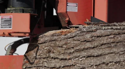 Ext CU portable sawmill blade cutting thru log Stock Footage 40472053