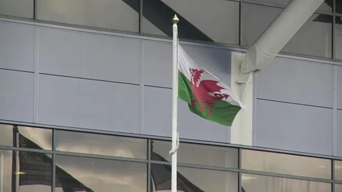 Ext Day Cardiff - Welsh flag flying outside Millennium Stadium Stock Footage 170003365