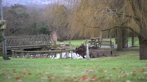 Ext Day - Caversham Park grounds - 02 Stock Footage 330399283