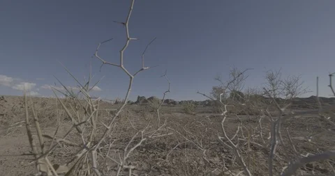Ext Ghost City shrubs Push&amp;Pan C4K BT2020 PQ Stock Footage 100163992