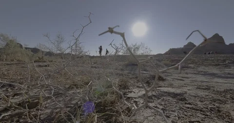 Ext Ghost City Sun C4K BT2020 PQ Stock Footage 100164550