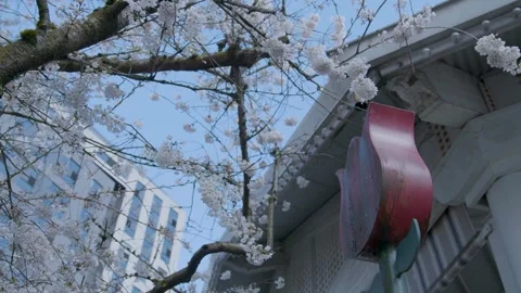 Ext RoseCity Sculpture Stock Footage 260108069