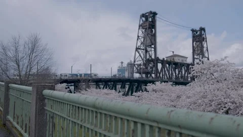 Ext Steelbridge CherryBlossoms Stock Footage 260108096