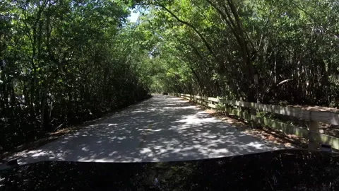 Exteded Go Pro Drive of a Country Road (outside Miami, Florida) Stock Footage 185100019