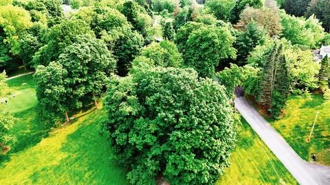 Extend - West Hill Golf Course - Syracuse, NY Stock Photos