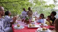 Extended Family Toasting Military Man At Picnic Stock Footage