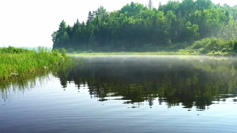 Extended Misty River Bend in Untouched Wilderness with Floating Fog Stock Footage 336279368
