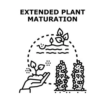 Extended plant maturation process concept illustration Stock Illustration