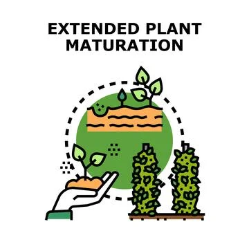 Extended plant maturation process concept illustration Stock Illustration
