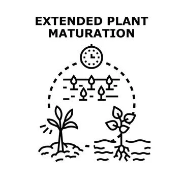 Extended plant maturation process concept icon vector Stock Illustration