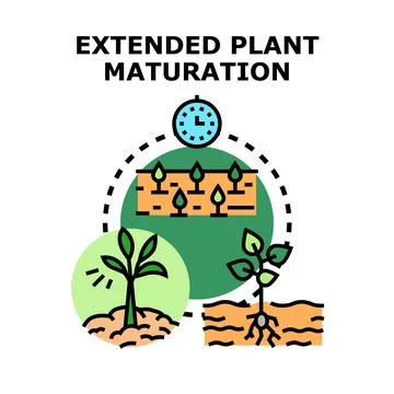 Extended plant maturation process concept icon vector Illustrazione stock