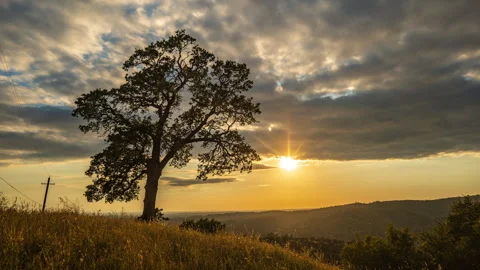 Extended Time Lapse of Lone Oak Clouds as Sun Drops Below Stock Footage 280022159
