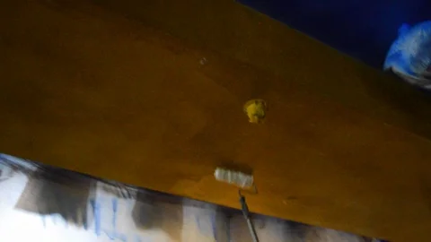 Extension rolling paint brush coats wall ceiling  Stock Footage 125057170