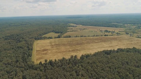 Extensive fields in summer Stock Footage 101610998