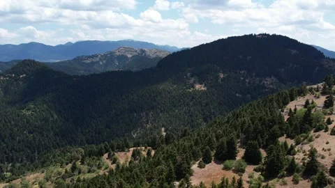 Extensive fir covered mountain range under bright sky with distant blue ridges Stock Footage 344093755