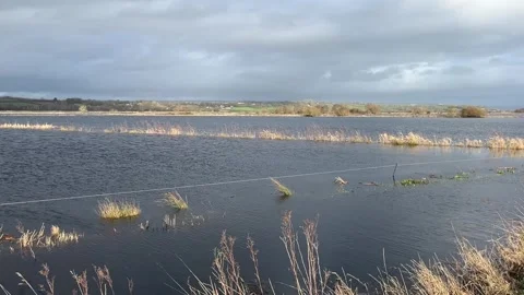 Extensive flooding in fields and farmland on the Somerset Levels after heav.. Stock Footage 328455451