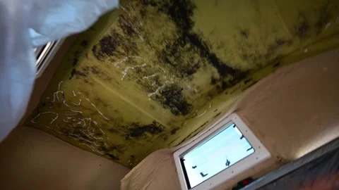 Extensive mold damage inside a camper van roof 库存影片 347636911