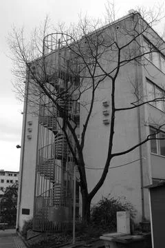 Extensive Paved Zone Showcasing Round Stone Arr.. Stock Photos