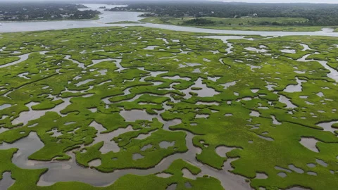 An Extensive Salt Marsh Grows Along the Coast of Cape Cod, Massachusetts Stock Footage 341638834